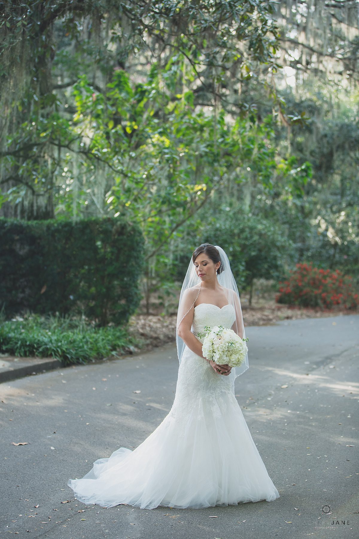bride in fit and flare beaded gown and white hydrangeas bridal bouquet