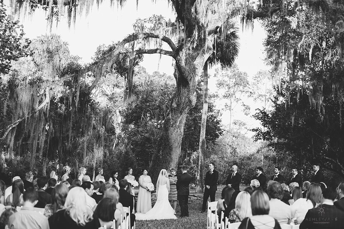 outdoor wedding under oak trees