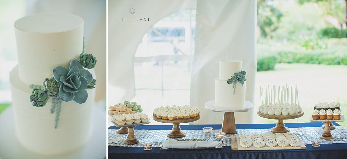 Minimalistic white fondant succulent two tier wedding cake for Southern Estate House Wedding shot by Orlando wedding photographer